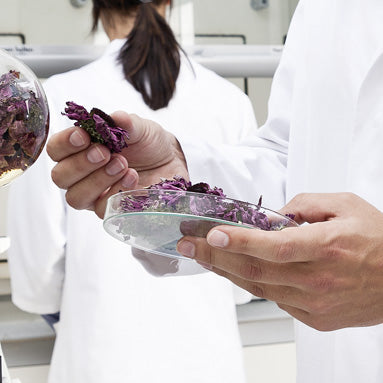 Product testing in the laboratory
